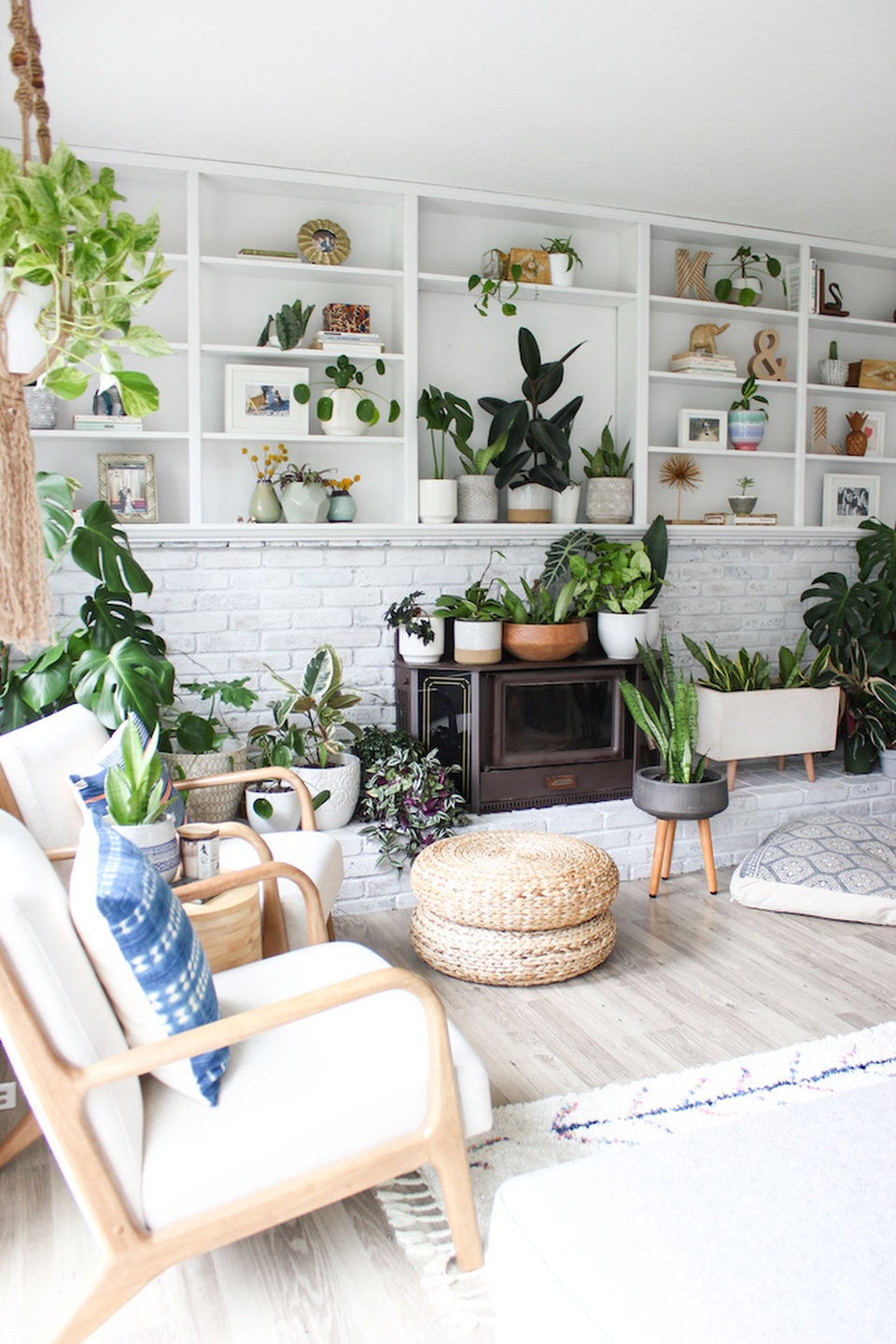 Lạ mắt với ngôi nhà trồng hơn 100 loại cây xanh, ai nhìn cũng mê mẩn - 2 Lạ mắt với ngôi nhà trồng hơn 100 loại cây xanh, ai nhìn cũng mê mẩn - 2