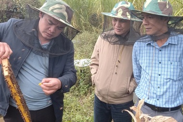 Hợp tác xã - trụ cột vững chắc trong xây dựng nông thôn mới