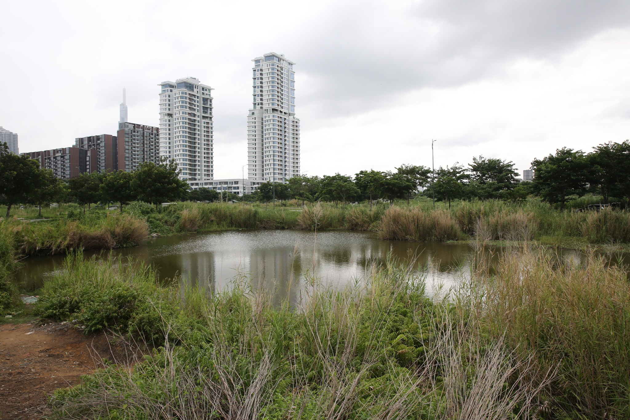 אנשים נדהמו לשמוע שהו צ'י מין סיטי מתכננת להעלות את מחירי הקרקעות פי 5-50 בין ה-1 באוגוסט ל-3 במרץ. Dân choáng váng khi nghe tin TPHCM dự kiến tăng giá đất 5-50 lần từ 1/8 - 3
