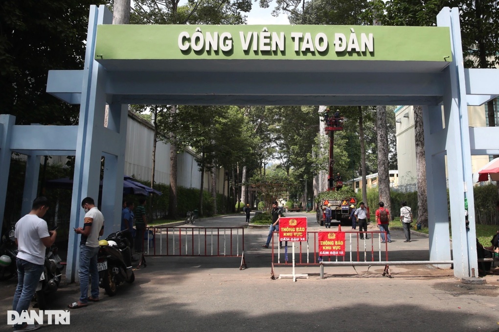 Chủ tịch TPHCM yêu cầu xác định trách nhiệm vụ nhánh cây đè chết 2 người - 1 Chủ tịch TPHCM yêu cầu xác định trách nhiệm vụ nhánh cây đè chết 2 người - 1