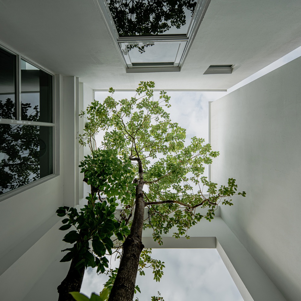 View - Ngôi nhà nhìn bề ngoài như lô cốt, điều bất ngờ nằm ở bên trong | Báo Dân trí