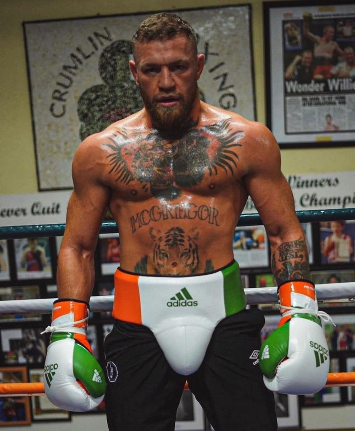 Gã điên McGregor khoe vóc dáng vạn người mê trên sàn tập - 1 Gã điên McGregor khoe vóc dáng vạn người mê trên sàn tập - 1