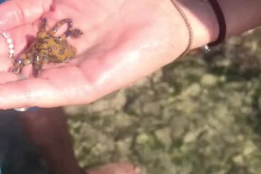 "Hí hửng" quay clip, cô gái không biết mình đang ở rất gần... tử thần