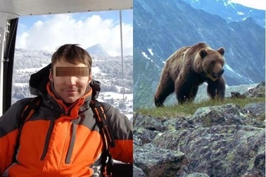 Du khách bị gấu tấn công, ăn thịt