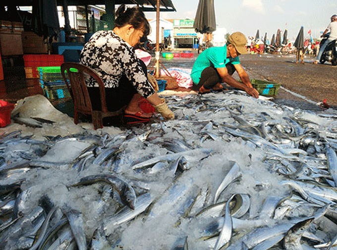Lộc biển đầu năm của người dân xứ biển - Ảnh 2. Lộc biển đầu năm của người dân xứ biển - Ảnh 2.