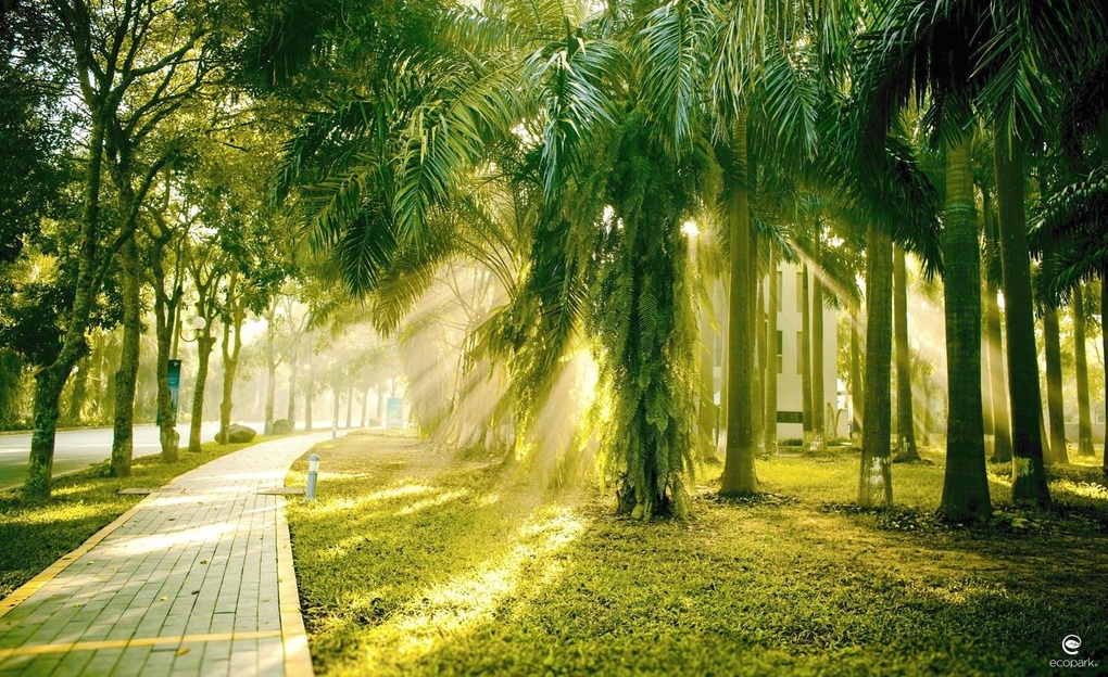Sự đắt giá đằng sau khu đô thị theo hướng 6 sao của nhà sáng lập Ecopark - 1 Sự đắt giá đằng sau khu đô thị theo hướng 6 sao của nhà sáng lập Ecopark - 1