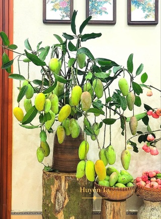 Cô giáo gây sốt với bình quả từ nguyên liệu “xin dọc đường” - 2