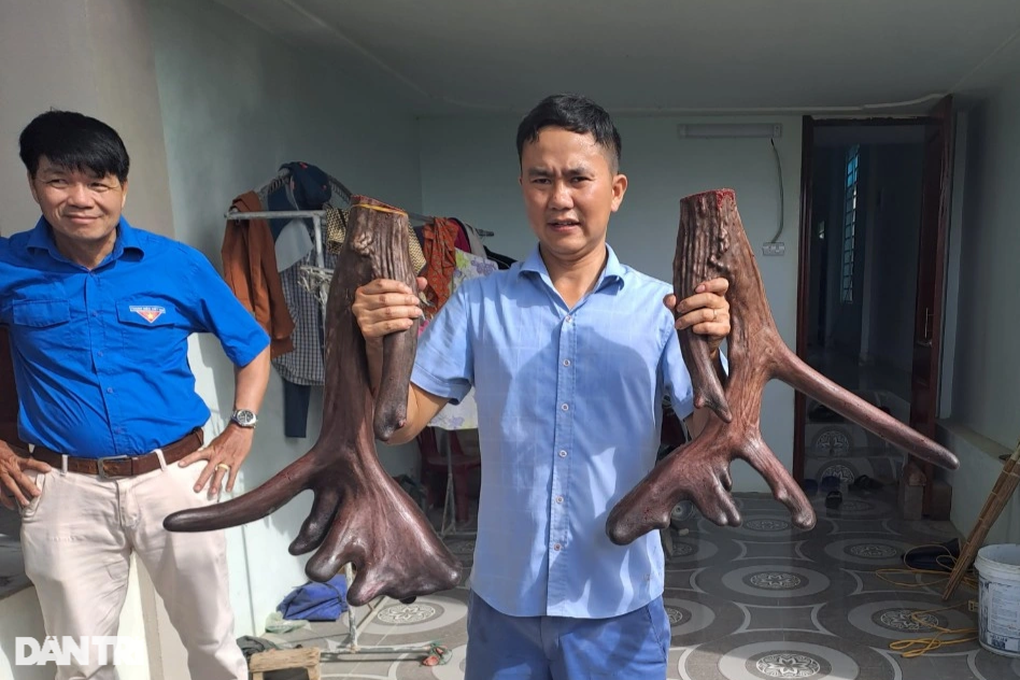 Vật nuôi chỉ ăn rau cỏ mà mỗi năm một con có thể cho cả trăm triệu đồng - 2 Vật nuôi chỉ ăn rau cỏ mà mỗi năm một con có thể cho cả trăm triệu đồng - 2