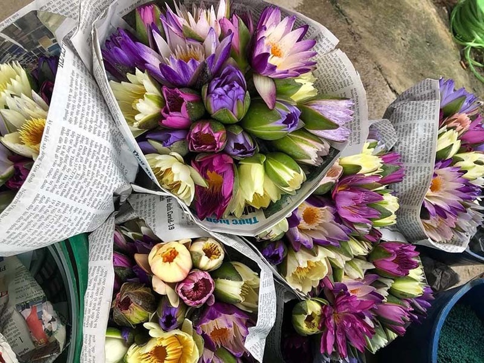 Chị em đua mốt chơi mới, hoa dại mọc hoang nay trở nên đắt đỏ - 4