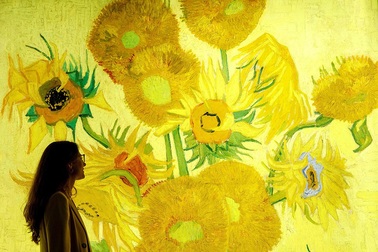 Sống trong thế giới hội họa của Van Gogh