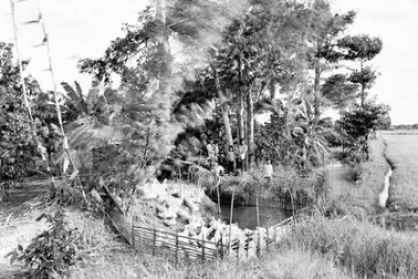 Nhiếp ảnh gia gốc Việt đoạt giải “Thiên tài” trị giá nửa triệu đô 