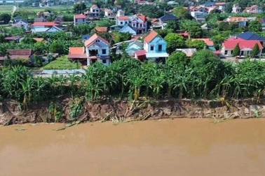 Sạt lở đê sông Thao ở Phú Thọ "uy hiếp" nhiều hộ dân