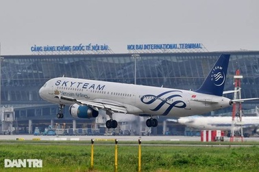 Cục Hàng không chỉ đạo khẩn vụ khỉ xuất hiện ở sân bay Nội Bài