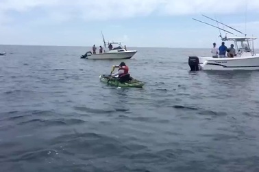 Hú hồn cảnh thợ câu cá bị cá mập lôi xuống biển