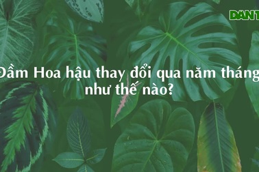 Phục trang của các Hoa hậu Mỹ Miss USA trong giây phút đăng quang