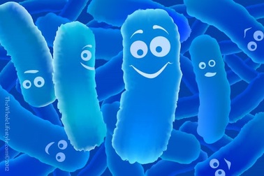 Probiotic có thể giúp ngăn ngừa trầm cảm