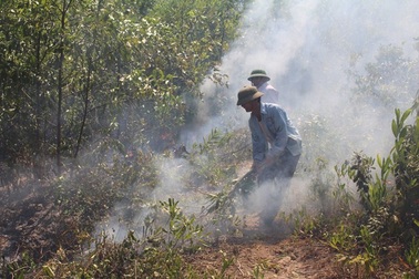 Nhiều bất cập, hệ lụy trong công tác phòng chống cháy rừng tại Nghệ An