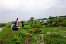 Kỳ lạ hàng trăm ngôi mộ bị đục lỗ