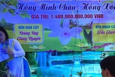 Sau các vụ thổi giá cao chót vót, vì sao giao dịch lan đột biến im ắng lạ thường?