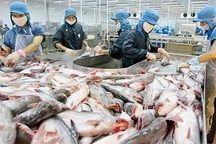 Mất 60 triệu USD vì không hiểu luật Mỹ