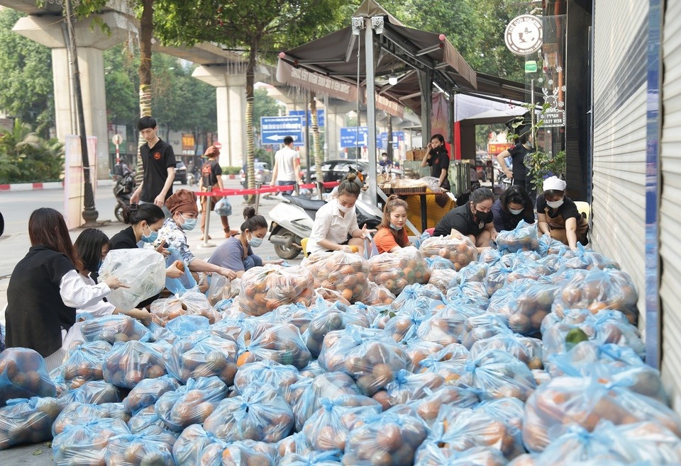 Cam sành Hàm Yên chờ giải cứu do dịch Covid-19 và 2 lượt mưa axit - 2 Cam sành Hàm Yên chờ giải cứu do dịch Covid-19 và 2 lượt mưa axit - 2