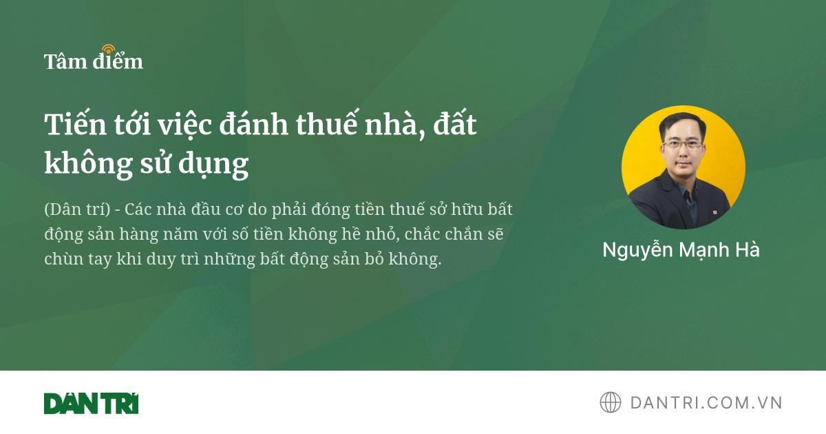 dantri.com.vn