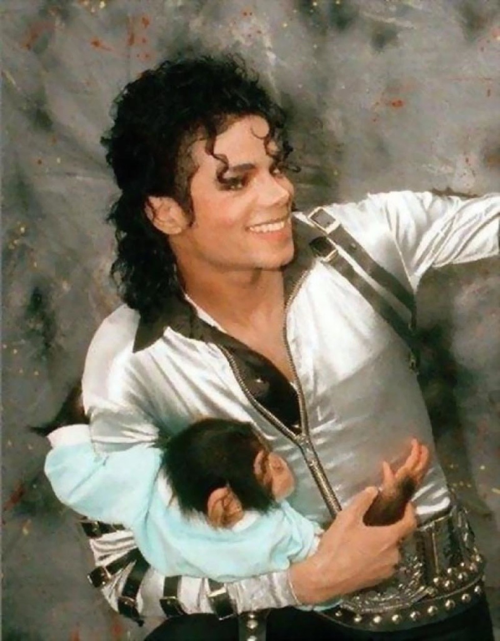 The pain of abandonment of the monkey that was once Michael Jackson's pet - 2