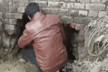 Táo tợn đào hầm dài 3m, vào ngân hàng ở Ấn Độ lấy 1,8kg vàng