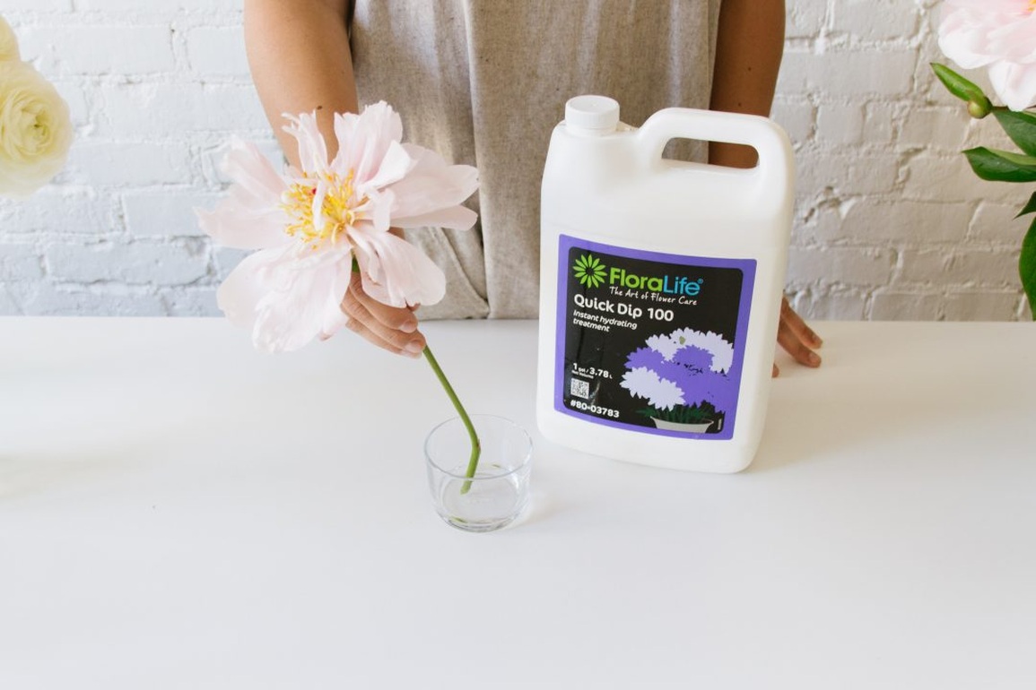 Mẹo giúp hoa tươi lâu trong 7 ngày Tết, bà nội trợ nào cũng cần biết - 4 Mẹo giúp hoa tươi lâu trong 7 ngày Tết, bà nội trợ nào cũng cần biết - 4