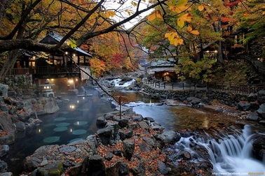 Tắm khoáng nóng giữa rừng ở Nhật Bản