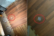 Bảo vệ trường tiểu học ở Hải Phòng tổ chức sử dụng ma túy trong phòng trực