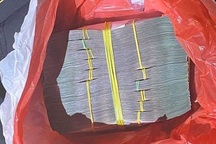 Bắt tên "đạo chích" trộm 500 triệu đồng đem giấu ở bụi cây sau nhà