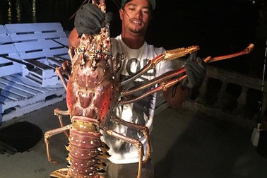 Tôm khổng lồ xuất hiện sau bão