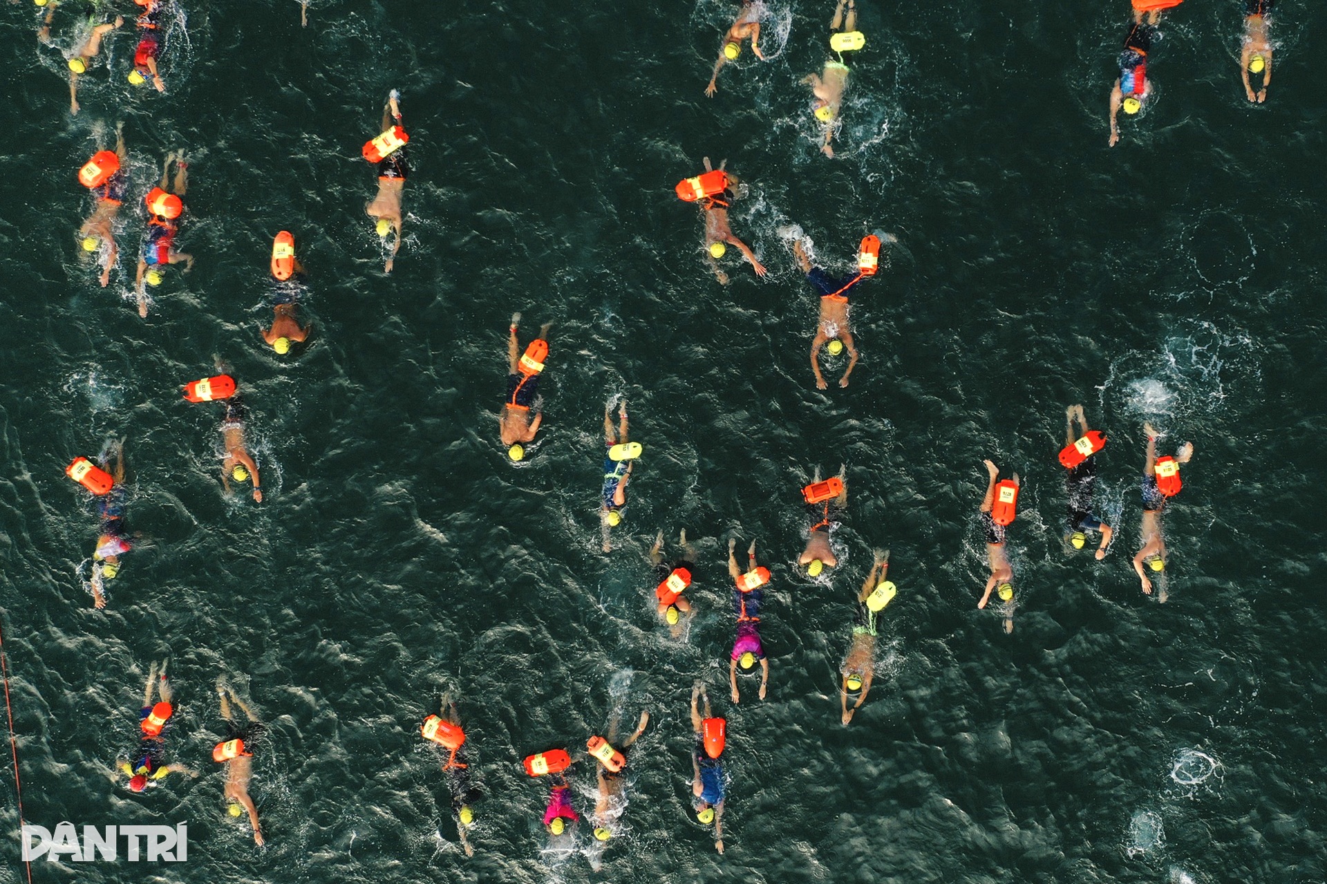 Kình ngư không chân trên đường bơi Aqua Warriors Quảng Trị 2025 - 3 Kình ngư không chân trên đường bơi Aqua Warriors Quảng Trị 2025 - 3