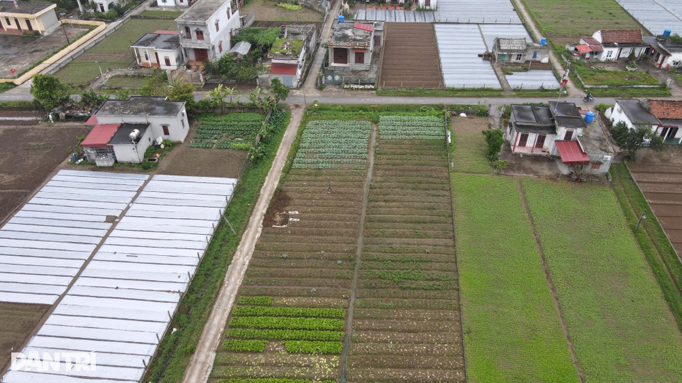 Lão nông bất ngờ thành tỷ phú và câu chuyện đất đai khuấy đảo vùng quê - 3 Lão nông bất ngờ thành tỷ phú và câu chuyện đất đai khuấy đảo vùng quê - 3
