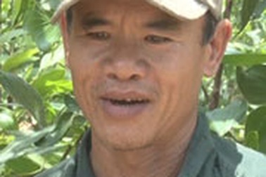 Bước qua vũng lầy vươn lên thành nông dân sản xuất giỏi