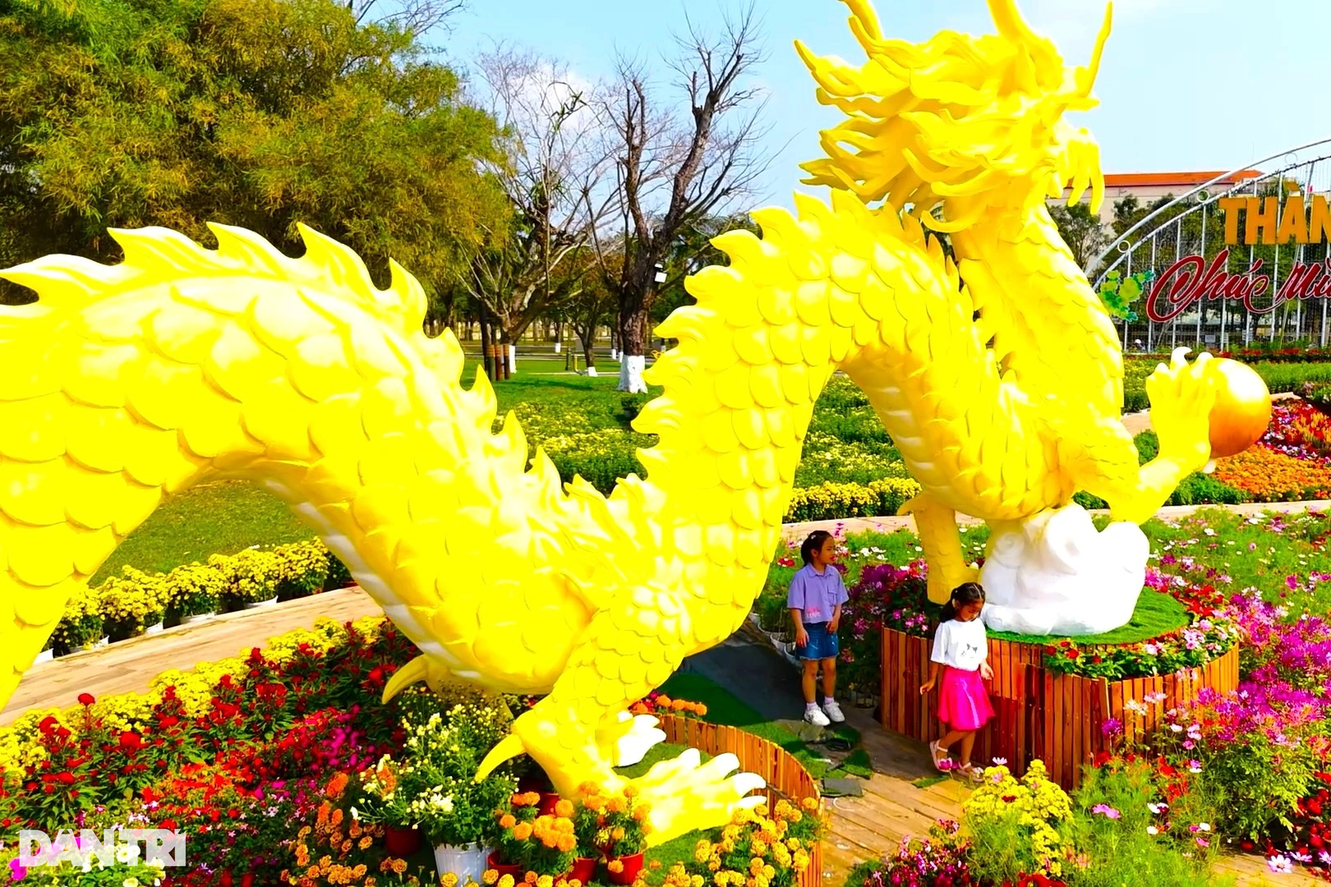 Hình ảnh linh vật rồng nhận mưa lời khen ở Quảng Nam - 7 Hình ảnh linh vật rồng nhận mưa lời khen ở Quảng Nam - 7