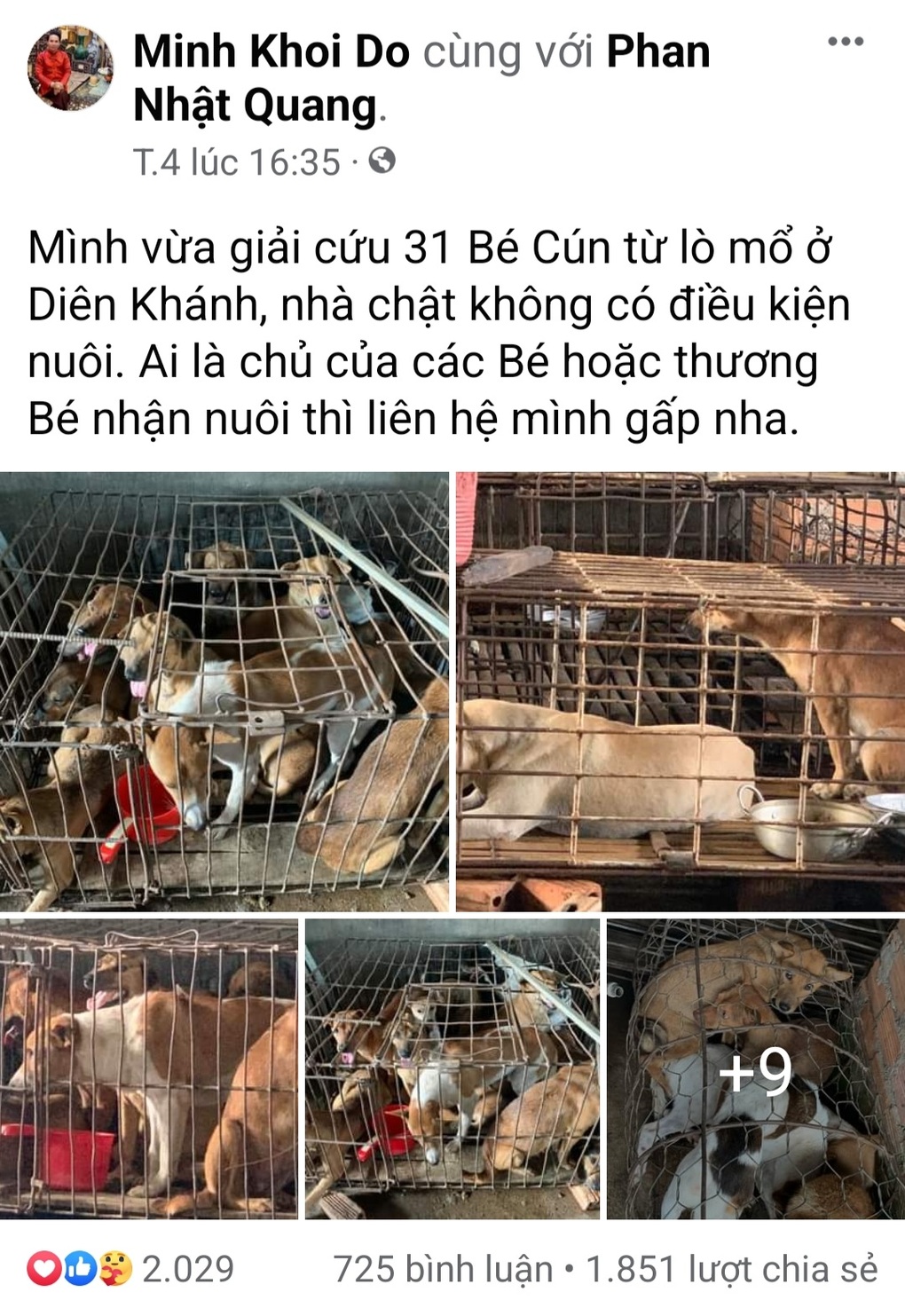 Đi tìm chó lạc, giải cứu luôn cả đàn 31 con trong lò mổ - 1 Đi tìm chó lạc, giải cứu luôn cả đàn 31 con trong lò mổ - 1