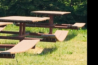 Đường sá nứt toác, nhà cửa biến dạng dưới nắng nóng kỷ lục ở Bắc Mỹ