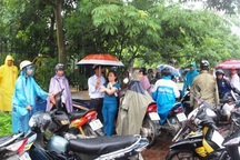 Đợi con trong mưa   