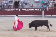 Kinh hoàng cảnh người đấu bò bị bò tót tấn công