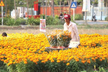 TPHCM: Đất nông trường quy hoạch thành khu công nghiệp mới