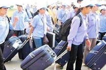 Đình chỉ 2 doanh nghiệp đưa thực tập sinh sang Nhật Bản