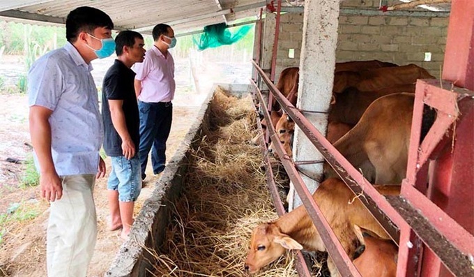 Nguồn vốn vay ưu đãi giúp người dân Thừa Thiên Huế mở rộng mô hình kinh tế, tạo việc làm và thu nhập ổn định