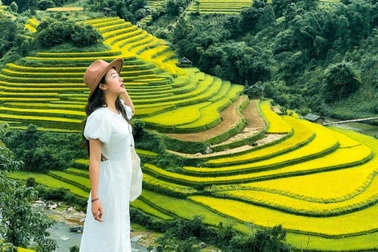 Du khách đổ về mùa vàng Mù Cang Chải, đơn vị lữ hành "ào ào" chốt tour