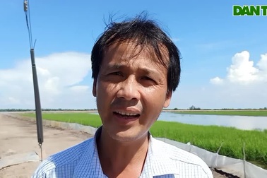 Nuôi cá linh non, tôm càng xanh trong ruộng lúa ở TP Hồng Ngự, Đồng Tháp