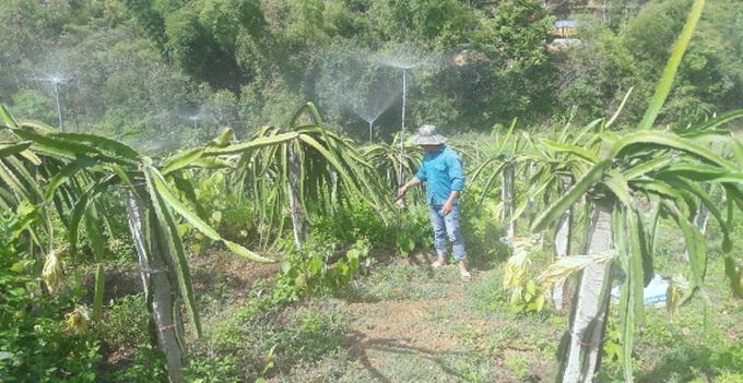 Lạng Sơn: Đời sống của người nghèo, cận nghèo được nâng lên - Ảnh 1.