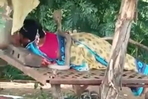 Đang nằm ngủ, người phụ nữ chết lặng khi bị rắn hổ mang trườn lên người