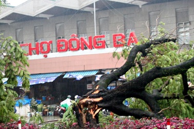 Bão dữ “quần nát” miền Trung