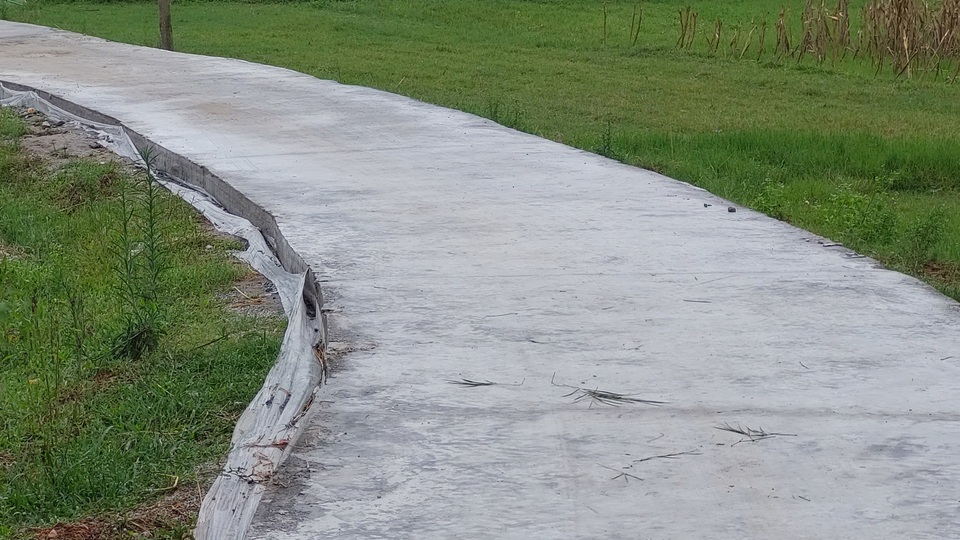 Khi nông dân nghèo bán bò, góp tiền làm đường nông thôn mới - 6 Khi nông dân nghèo bán bò, góp tiền làm đường nông thôn mới - 6